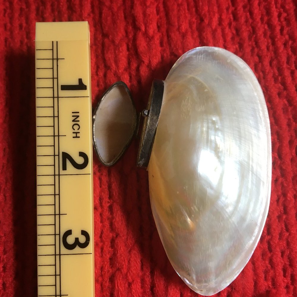VICTORIAN Shell SNUFF Box Shell TRINKET BOX - Picture 3 of 5